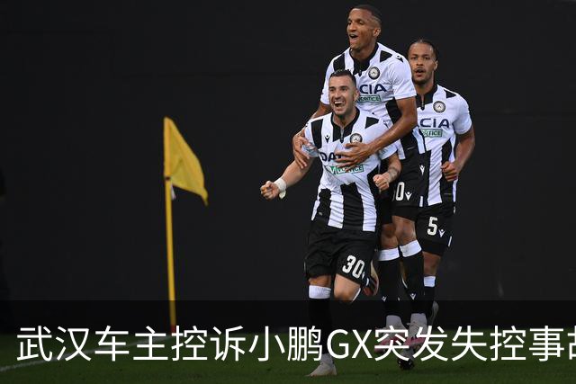武汉车主控诉小鹏GX突发失控事故，补偿方案遭质疑